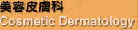 美容皮膚科　medical cosmetic place